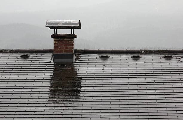 Read more about the article Ever Wondered Why Chimney Rain Caps Are Important?