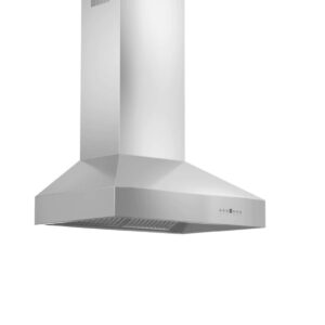 ZLINE Ducted Wall Mount Range Hood in Outdoor Approved Stainless Steel (697-304)
